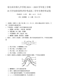 黑龙江省哈尔滨市第九中学2024~2025学年高二上学期10月月考生物试卷