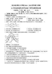 黑龙江省哈尔滨市第九中学2024-2025学年高二上学期10月考试生物学科考试试卷(无答案)
