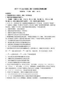 广东省梅州市兴宁市兴宁市第一中学2024-2025学年高三上学期10月月考生物试题