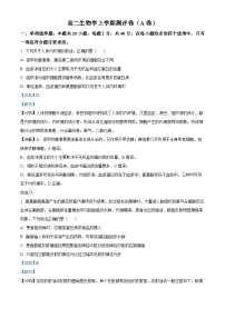 湖南省衡阳市衡阳县部分学校2024-2025学年高二上学期第一次联考生物（A卷）试题（Word版附解析）