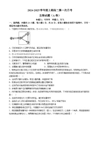 河南省驻马店市河南驻马店经济开发区2024-2025学年高二上学期10月月考生物试题(无答案)