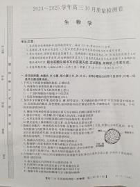 河北省邯郸市永年区第二中学等校2024-2025学年高三上学期10月月考生物试卷