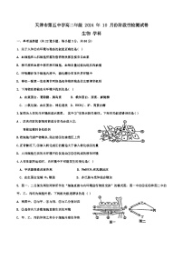 天津市天津市红桥区天津市第五中学2024-2025学年高二上学期10月月考生物试题