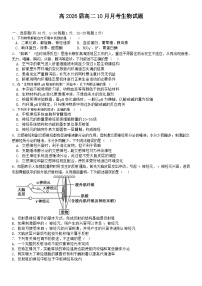 四川省成都市第七中学2024-2025学年高二上学期10月月考生物学试题