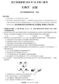 浙江省强基联盟2024-2025学年高二上学期10月联考生物试卷