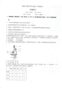 江苏省泰州市海陵区江苏省泰州中学2024-2025学年高一上学期10月月考生物试题