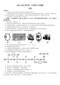 [生物]河南省许昌市魏都区许昌高级中学2024～2025学年高一上学期10月月考学试题(有答案)