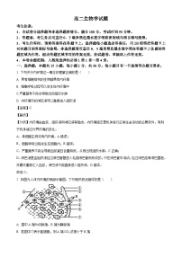 山东省菏泽市鄄城县第一中学2024-2025学年高二上学期10月月考生物试题（解析版）