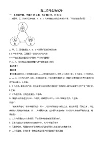 河北省邯郸市大名县第一中学2024-2025学年高二上学期10月月考生物试卷（解析版）