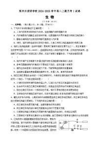 河南省郑州外国语学校2024-2025学年高二上学期10月月考生物试题（Word版附答案）