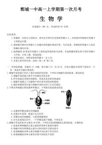 [生物]山东省菏泽市鄄城县第一中学2024_2025学年高一上学期10月月考试题(有答案)