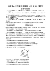 四川省绵阳市南山中学集团学校2024-2025学年高三上学期10月联考生物试题（Word版附答案）