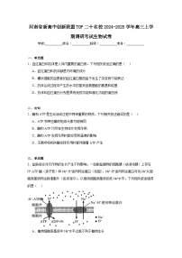 河南省新高中创新联盟TOP二十名校2024-2025学年高三上学期调研考试生物试卷