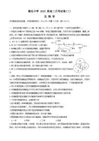 2025届湖南省长沙市雅礼中学高三上学期月考（二）生物试题