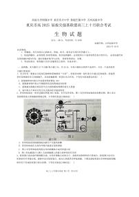 生物丨重庆市高2025届拔尖强基联盟高三10月联合考试生物试卷及答案