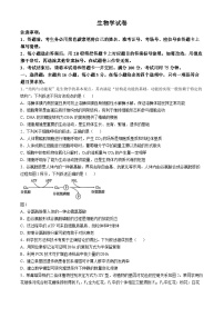 云南师范大学附属中学2024—2025学年高三上学期10月考试生物试题(无答案)