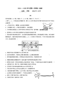 天津市新华中学2024-2025学年高二上学期10月月考生物试题