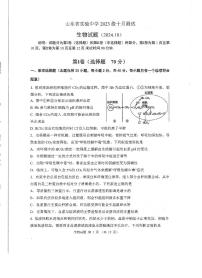 山东省实验中学2024-2025学年高二上学期10月月考生物试题（PDF版附答案）