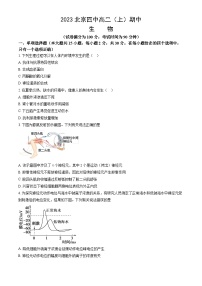 2023北京四中高二上学期期中生物试卷（教师版）