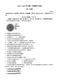 江苏省常熟市伦华高级中学2022-2023学年高一上学期11月期中生物试题(无答案)