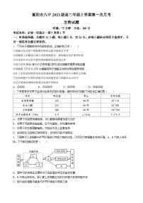 湖南省衡阳市第八中学2024-2025学年高二上学期第一次月考生物试题(无答案)