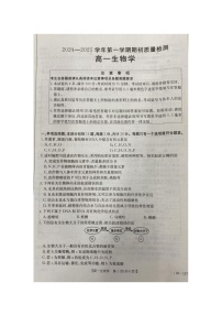 江苏省徐州市邳州市毓秀高级中学-2024-2025学年高一上学期10月月考生物试卷