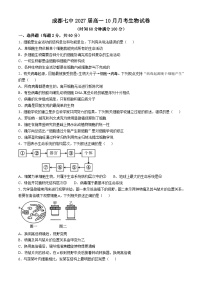 四川省成都市第七中学2024-2025学年高一上学期10月月考生物试题