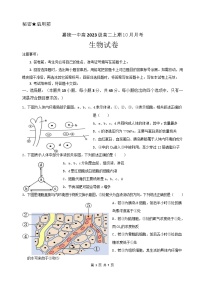 四川省南充市嘉陵第一中学2024-2025学年高二上学期10月月考生物试题