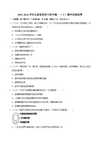 云南省昆明市十四中2023-2024学年高一上学期期中考试生物试卷