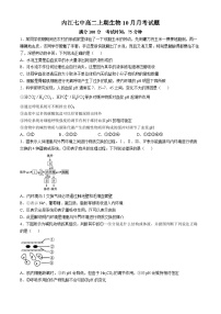 四川省内江市第七中学2024-2025学年高二上学期10月月考生物试题