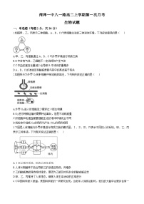 山东省菏泽市第一中学2024-2025学年高二上学期第一次月考生物试题