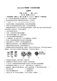 湖南省长沙市长沙市第一中学2024-2025学年高一上学期第一次月考试卷生物