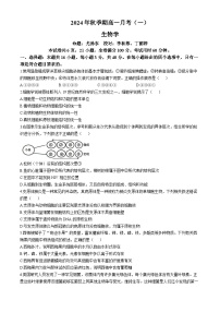 广西壮族自治区玉林市博白县中学2024-2025学年高一上学期10月月考生物试题(无答案)