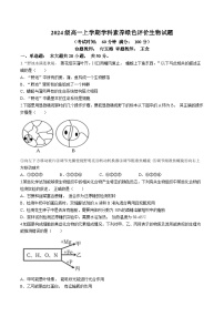 安徽省合肥市第十中学2024-2025学年高一上学期第一次月考生物试题(无答案)