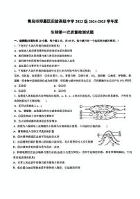 山东省青岛市即墨区实验高级中学2024-2025学年高二上学期第一次月考生物试卷