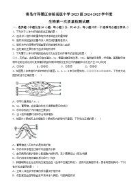 山东省青岛市即墨区实验高级中学2024-2025学年高二上学期第一次月考生物试卷