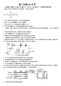 吉林省通化市梅河口市第五中学2024-2025学年高三上学期10月月考试题 生物 Word版含答案