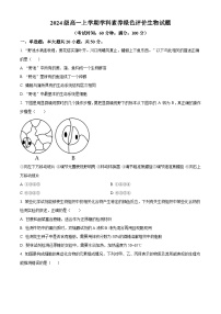 安徽省合肥市第十中学2024-2025学年高一上学期第一次月考生物试题