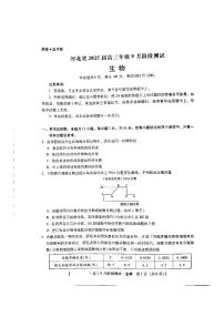 河北省部分学校2024-2025学年高三上学期9月阶段测试生物试题（PDF版附解析）