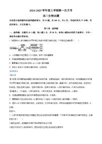 吉林省部分学校2024-2025学年高二上学期10月联考生物试题（Word版附解析）