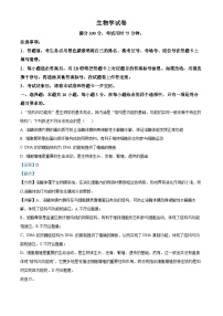 云南省昆明市师大附中2024-2025学年高三上学期10月月考生物试题（Word版附解析）