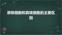 高中生物苏教版 (2019)必修1《分子与细胞》第二节 细胞——生命活动的基本单位优秀ppt课件