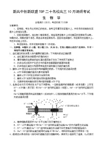 河南省新高中创新联盟TOP二十名校2024-2025学年高三上学期调研考试生物试卷（附参考答案）