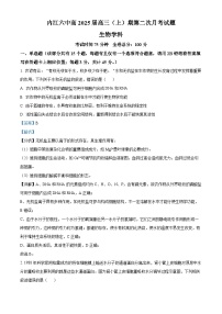 四川省内江市第六中学2024-2025学年高三上学期第二次月考生物试题（Word版附解析）