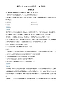 重庆市铜梁一中2024-2025学年高二上学期10月月考生物试题（Word版附解析）