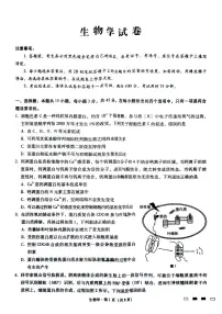 重庆市巴蜀中学2024-2025学年高三上学期10月月考生物试题（PDF版附解析）