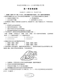 福建省漳州市华安县正兴学校2024-2025学年高一上学期第一次月考生物试卷