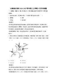 [生物]云南省红河州2024-2025学年高二上学期9月月考试题(解析版)