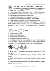 天津市河西区实验中学2024-2025学年高三上学期第二次月考生物