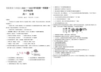 甘肃省兰州新区贺阳高级中学2024-2025学年高一上学期第一次月考生物试卷